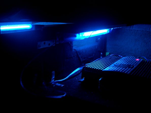 CIMG0467